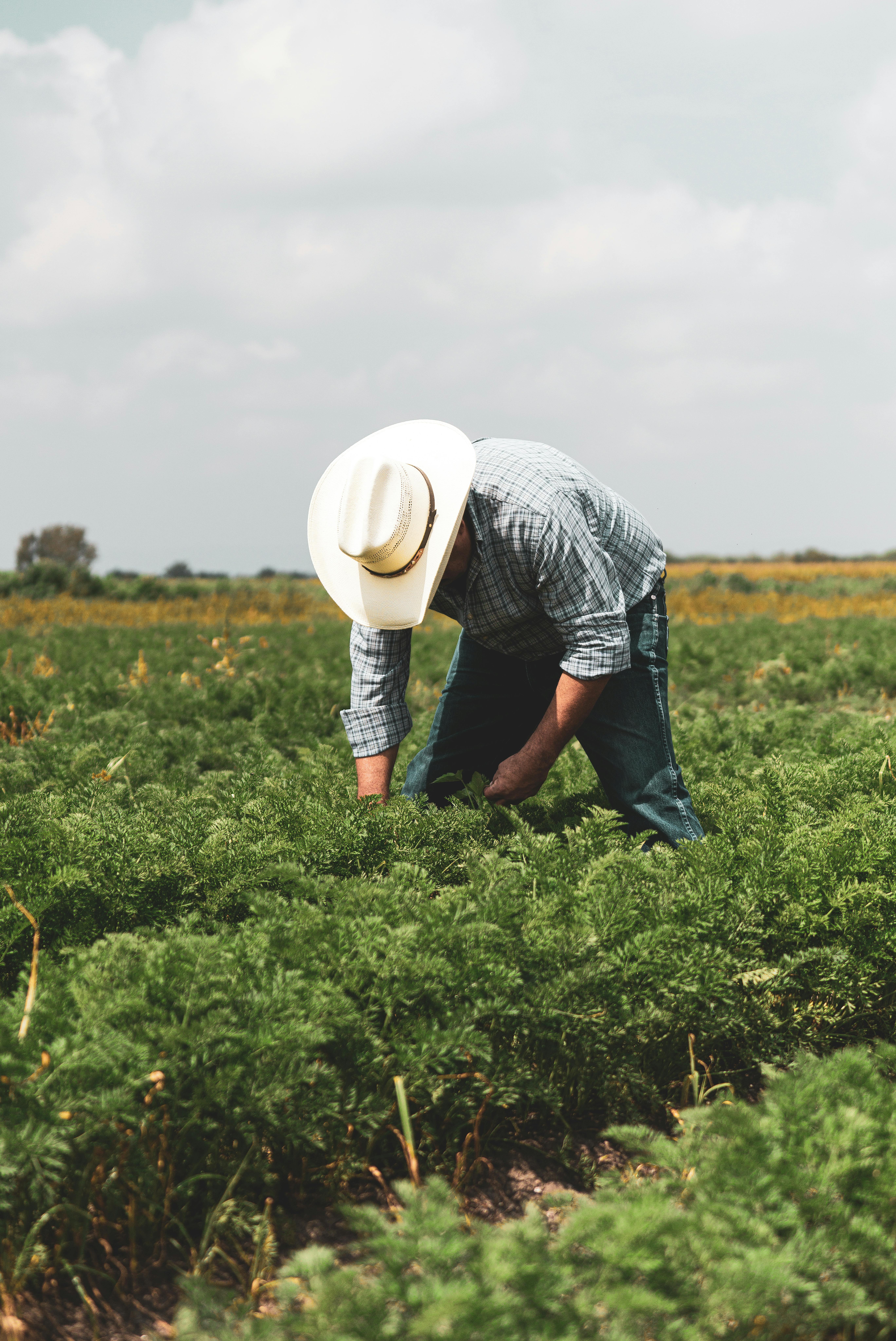 Person on Farm